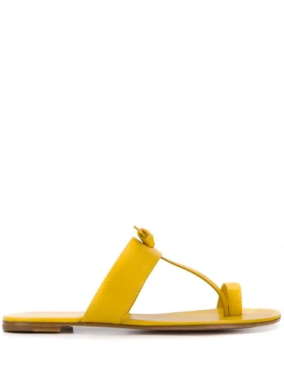 Gianvito Rossi Argo Chunky Strap Sandals In Yellow