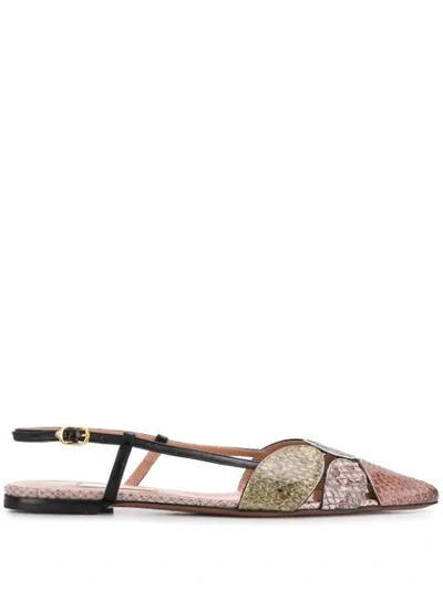 L'autre Chose Pointed Flat Ballerina Shoes In Neutrals