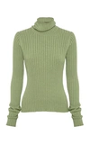 Anna Quan Heather Rib-knit Cotton Turtleneck In Green