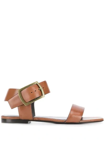 Saint Laurent Oak Leather Buckle Sandals In Tan