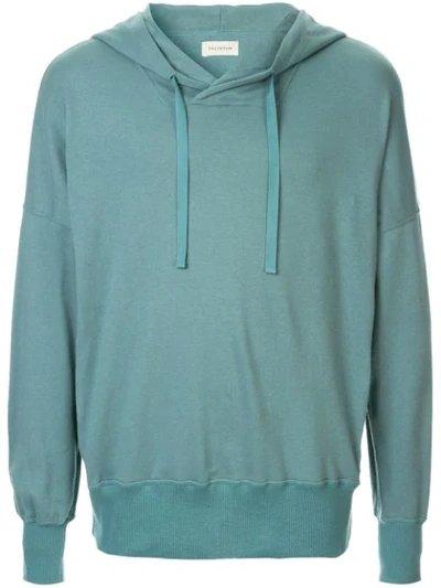 Factotum Drawstring Fitted Hoodie In Green
