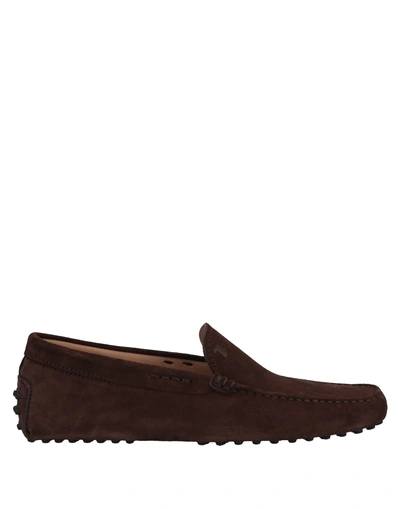 Tod's Loafers In Cocoa