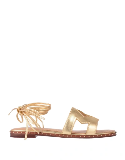 Maje Sandals In Gold