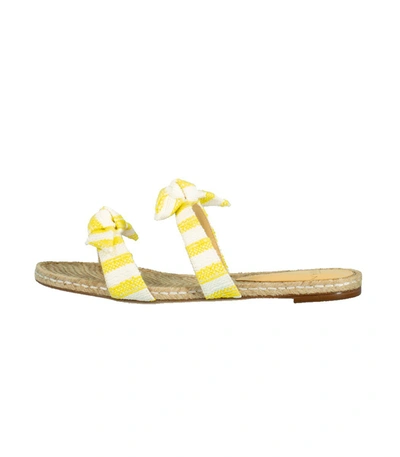 Alexandre Birman Clarita Braid Flat Sandal In Sunflower