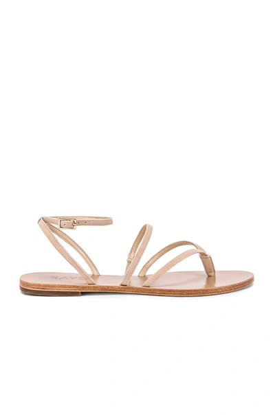 Raye Void Sandal In Nude