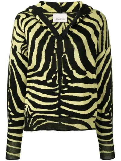 Laneus Zebra Print Hooded Jumper In Yellow