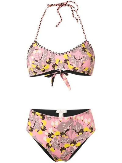 Anjuna Floral Print Bikini In Pink