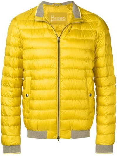 Herno Padded Jacket In Yellow