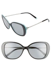 Tiffany & Co Tiffany T 55mm Gradient Butterfly Sunglasses In Black/ Blue Solid