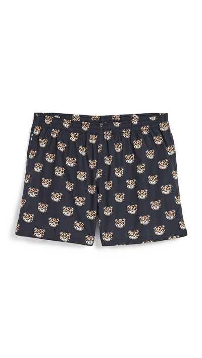 Moschino Bear Woven Boxers In Black