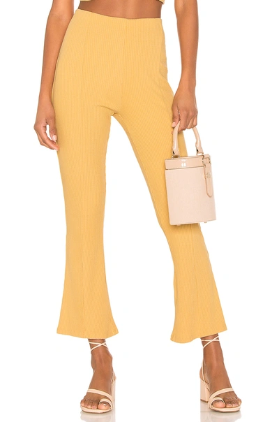 Amuse Society Mamba Pant In Mustard. In Sun Ray