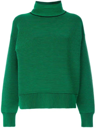 Nagnata + Net Sustain Striped Ribbed Organic Cotton Turtleneck Sweater In Green ,black