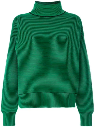 Nagnata + Net Sustain Striped Ribbed Organic Cotton Turtleneck Jumper In Green ,black