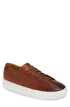 Cognac/ Brown Leather