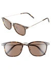 Tom Ford Beau 53mm Square Sunglasses In Tortoise/ Brown