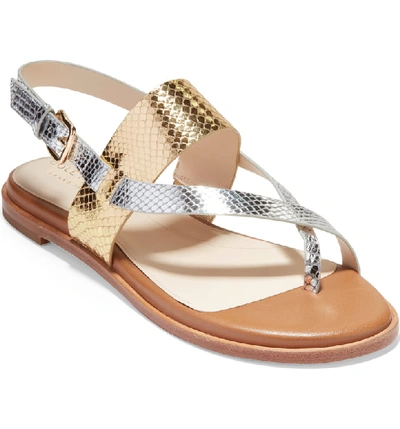 Cole Haan Anica Sandal In Gold/ Silver Snake Leather