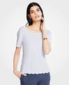 Ann Taylor Scalloped Sweater Tee In Gray