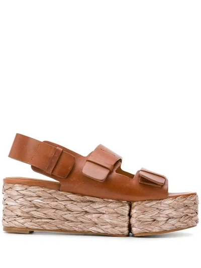 Clergerie Atoll Sandals In Brown