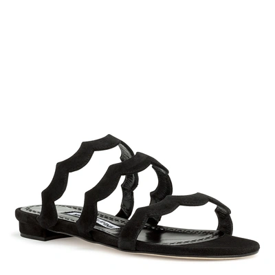 Manolo Blahnik Agavriaflat Black Suede Flat Sandals