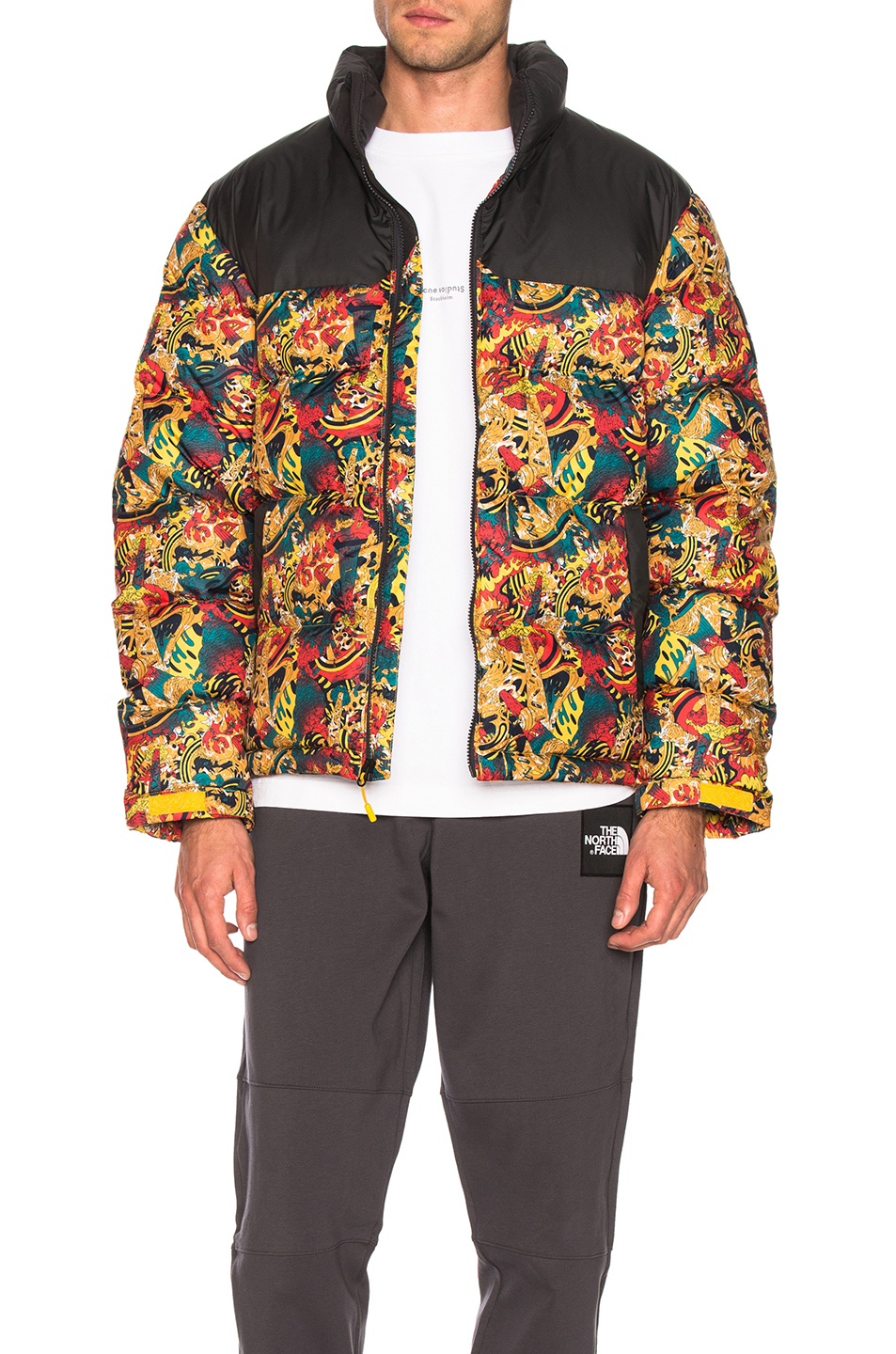 the north face genesis print