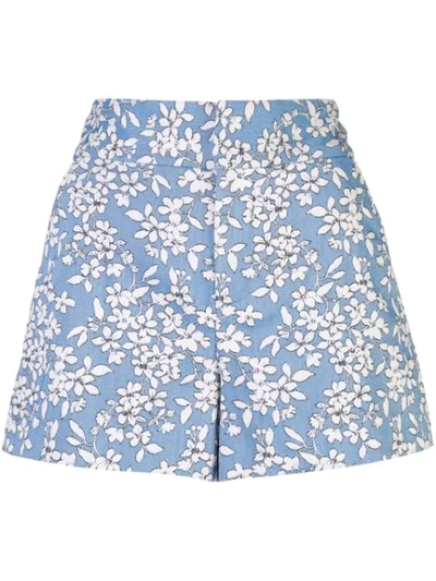Alice And Olivia Cotton-blend Jacquard Shorts In Cornflower