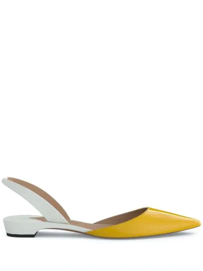 Paul Andrew Rhea 15 Ballerina Shoes In Yellow