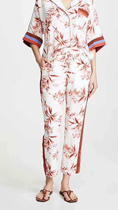 Joie Quisy Floral-print Cropped Straight-leg Pants In Porcelain