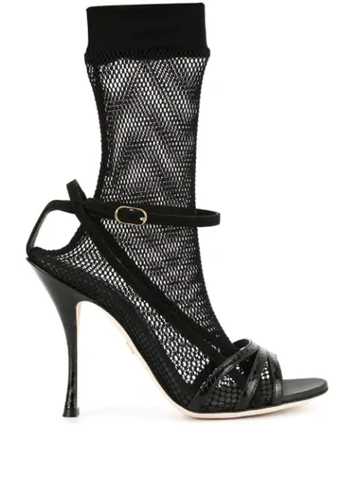Dolce & Gabbana Fishnet Sock Heeled Sandals In Black