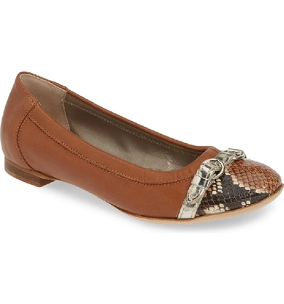 Agl Attilio Giusti Leombruni Cap Toe Ballet Flat In Brandy