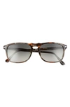 Persol 54mm Square Sunglasses In Brown/ Grey Gradient