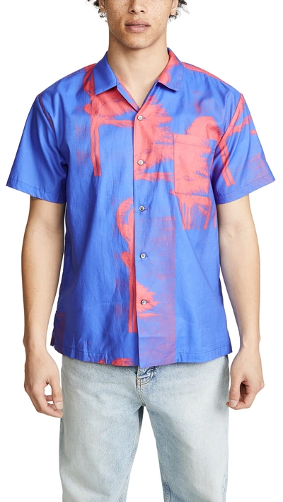 Double Rainbouu Windy Nice Short Sleeve Hawaiian Shirt In Bright Purple Palm Tree