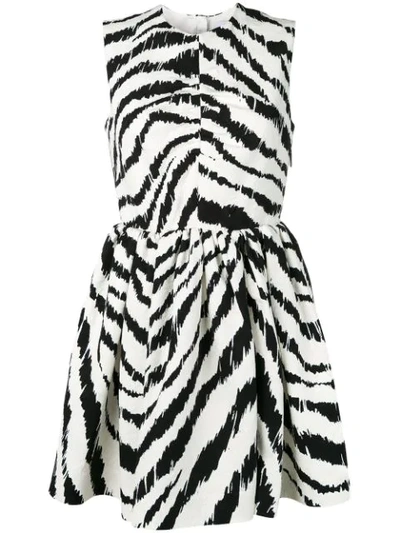 Msgm Zebra Print Cotton Blend Mini Dress In Black