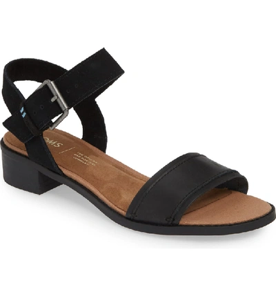 toms camilia