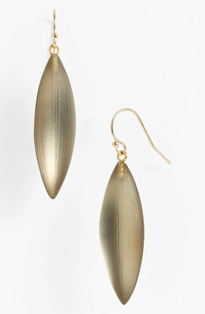 Alexis Bittar 'lucite - Neo Bohemian' Small Sliver Earrings In Warm Gray