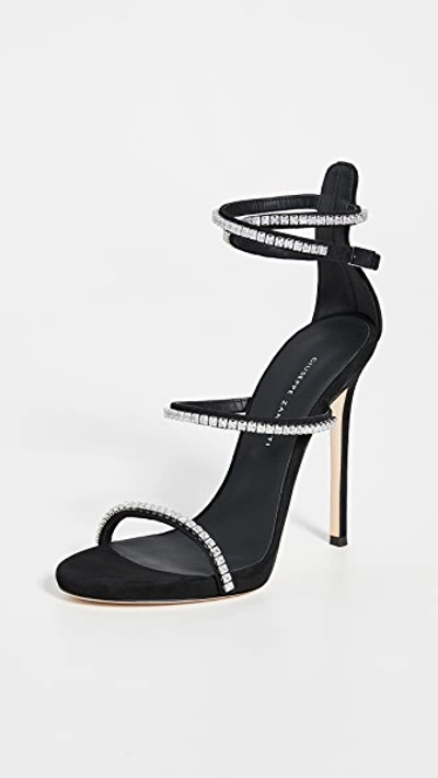 Giuseppe Zanotti Kanda Ankle-strap Crystal-embellished Suede Sandals In Black