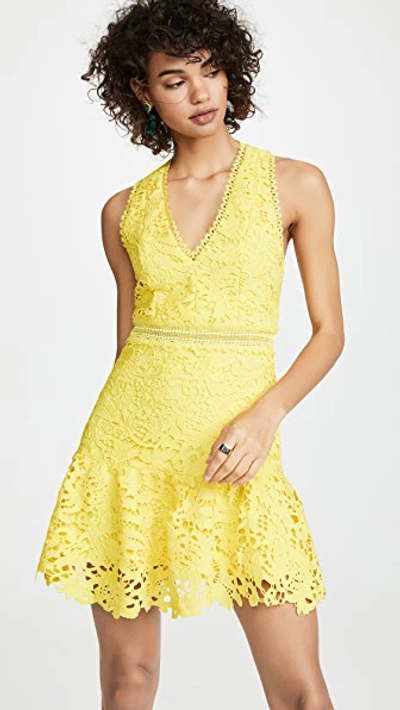 Alice And Olivia Alice + Olivia Marleen Fit Flare Dress In Yellow. In Sun
