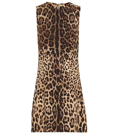 Dolce & Gabbana Women's Sleeveless Stretch Cady A-line Dress In Leo