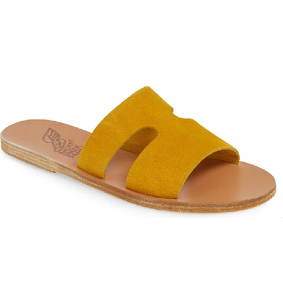 Ancient Greek Sandals Apteros Slide Sandal In Costa Yellow