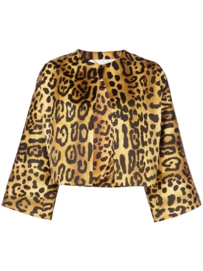 Adam Lippes Cropped Leopard-print Duchesse-satin Jacket In Orange