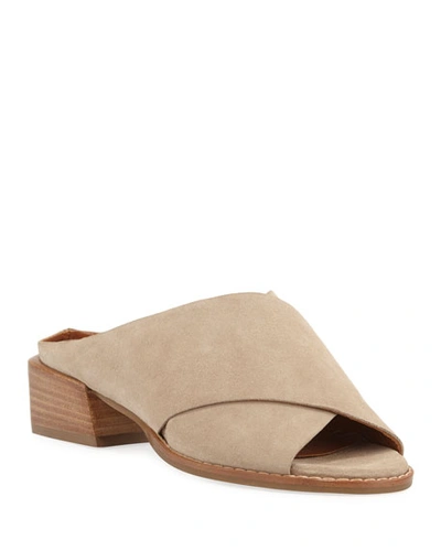 Aquatalia Helen Crisscross Suede Sandals In Ecru