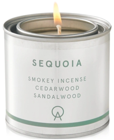 Abbott Sequoia Scented Candle, 7-oz.