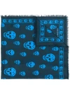 Alexander Mcqueen Men's Silk Skull-print Shawl Scarf In 4144