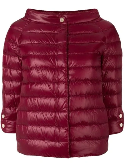 Herno Padded Jacket In Red