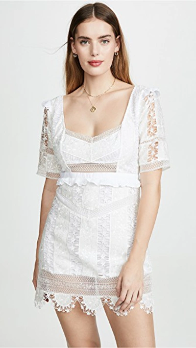 For Love & Lemons Amandine Lace Mini Dress In Ivory