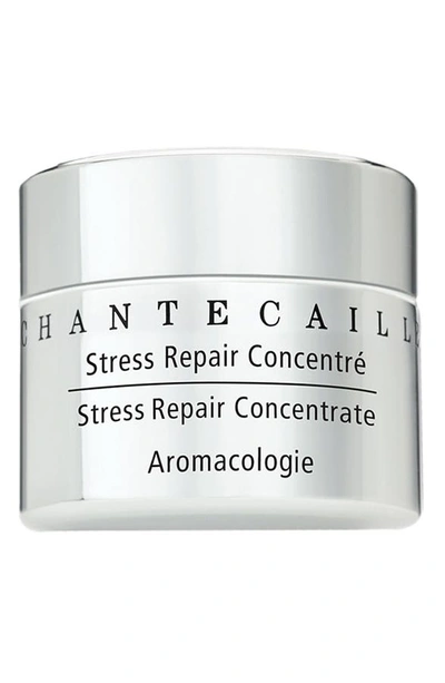 Chantecaille Stress Repair Concentrate Eye Cream