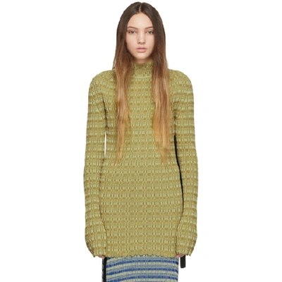 Jil Sander Green And Brown Cotton Turtleneck In 345 Green