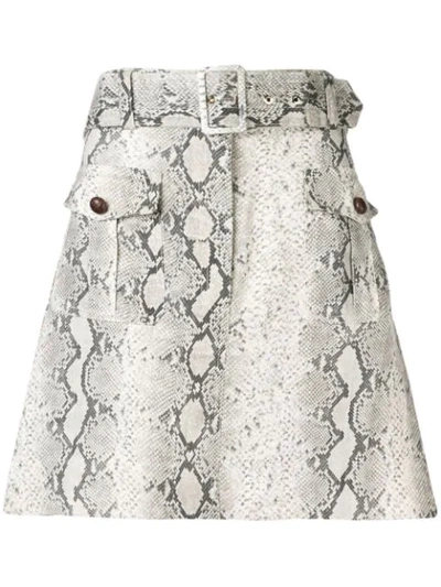 Zimmermann Zimmerman Corsage Safari Mini Skirt In Multicolor