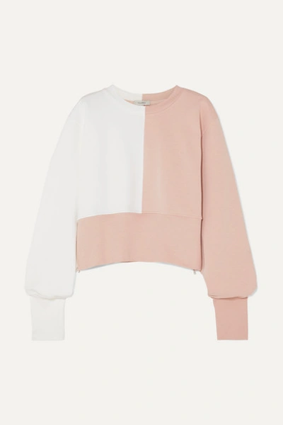 Vaara Maeve Paneled Cotton-blend Jersey Sweatshirt In Baby Pink