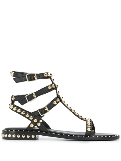Ash Women's Precious Studded Leather Gladiator Sandals In Black
