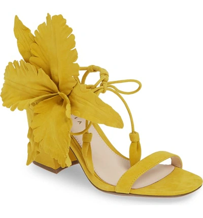 Cecelia New York Hibiscus Sandal In Golden Sun Leather